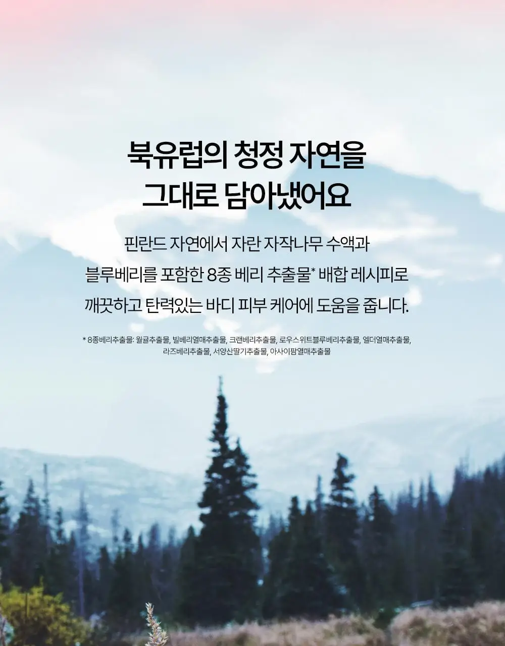 [생무화과즙향] 토르홉 핑크 오로라 바디워시/로션 250ml 2종 택 1 상세페이지 20